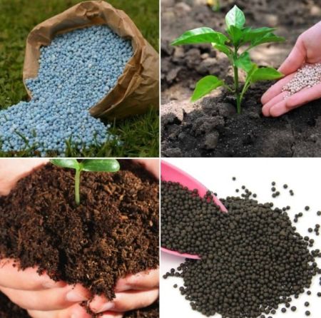 Picture for category Fertilizers