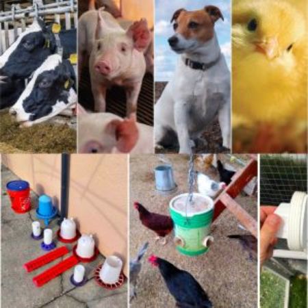 Picture for category Animal Feed & Health