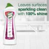 Picture of HANDY ANDY POTPOURRI CLEANING CREAM 750ML
