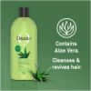 Picture of ORGANICS 2-IN-1 SHAMPOO & CONDITIONER DAILY CARE 1L