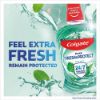 Picture of COLGATE PLAX SOFT MINT MOUTHWASH 500ml