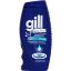 Picture of GILL ANTI DANDRUFF 2-IN-1 CONDITIONER & SHAMPOO - DRY SCALP 400ml