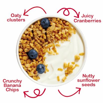 Picture of KELLOGGS GRANOLA FRUIT MIX 700g