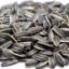 Picture of CATERWISE RAW SUNFLOWER SEEDS IN SHELL 1KG