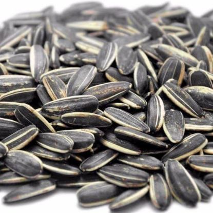 Picture of CATERWISE RAW SUNFLOWER SEEDS IN SHELL 2KG