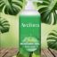 Picture of AVEFORA SHOWER GEL - GREEN APPLE 1L