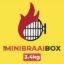 Picture of MINI BRAAI BOX