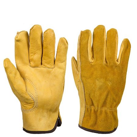 Picture for category Gloves