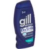 Picture of GILL ANTI DANDRUFF 2-IN-1 CONDITIONER & SHAMPOO DRY SCALP 200ml
