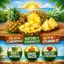 Picture of PINEAPPLE