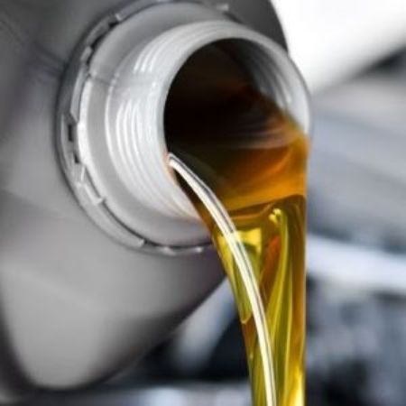 Picture for category Lawnmower & Chainsaw Oil