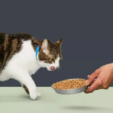 Picture for category Cat Food