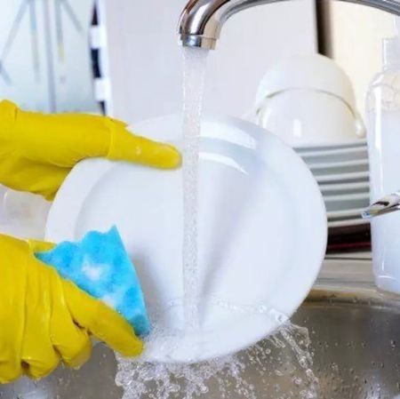 Picture for category Dishwashing