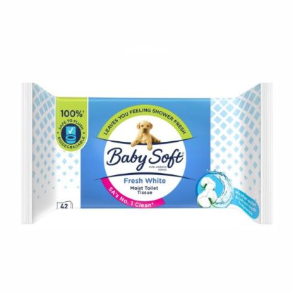 Picture of BABY FRESH WHITE MOIST TOILET TISSUE 42's 