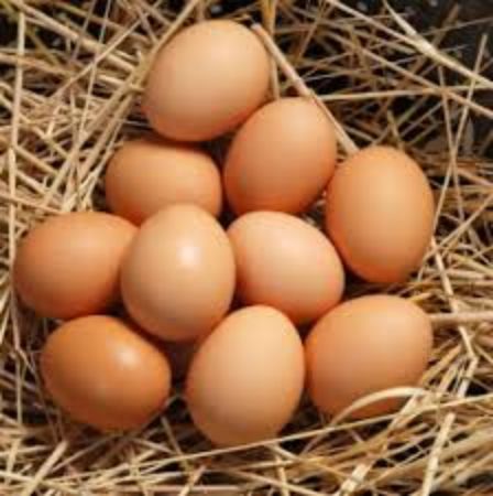Picture for category Eggs