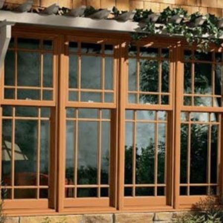Picture for category Windows & Window Frames