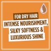 Picture of L'OREAL ELVIVE SHAMPOO EXTRAORDINARY OIL EXTRA DRY HAIR 400ml