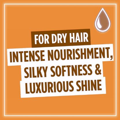 Picture of L'OREAL ELVIVE SHAMPOO EXTRAORDINARY OIL EXTRA DRY HAIR 400ml
