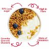 Picture of KELLOGG'S GRANOLA LITE CINNAMON 700g