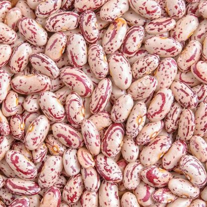 Picture of CATERWISE DRIED SUGAR BEANS 1Kg