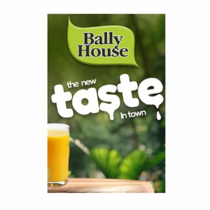 Picture of BALLY HOUSE PASSION DAIRY BLEND 2L  