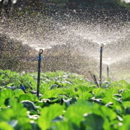 Picture for category Sprinklers & Accessories